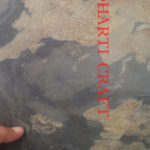 Autumn Rustic stone veneer sheets